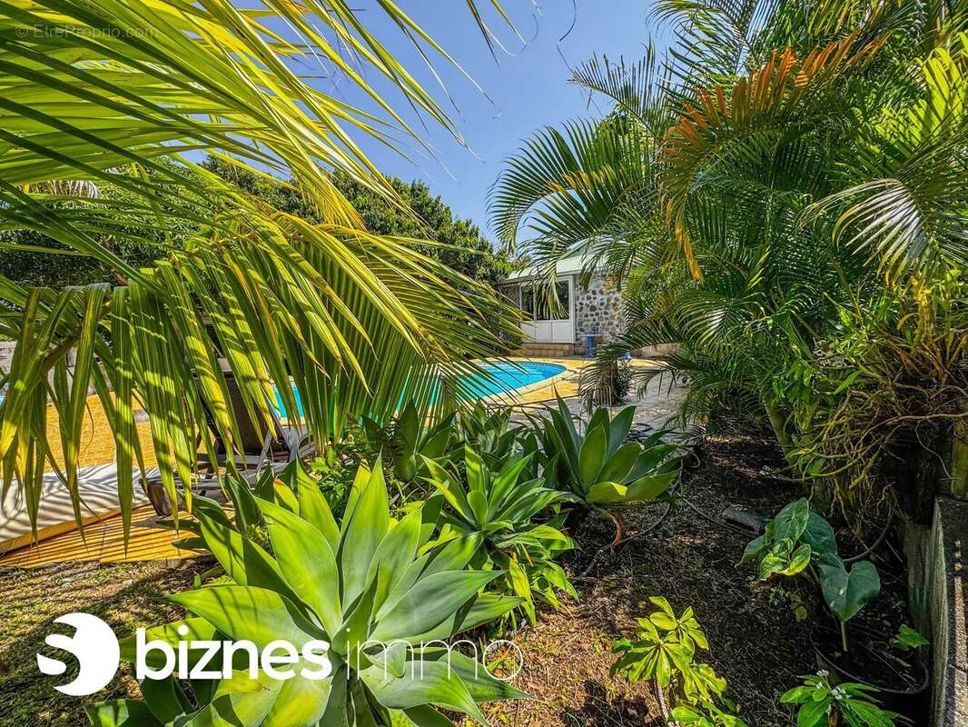 Maison à SAINT-PIERRE