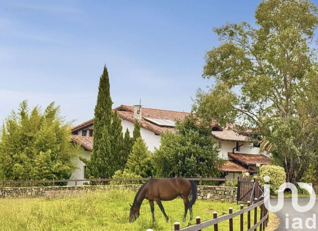 Photo 2 - Maison à VILLEFRANQUE