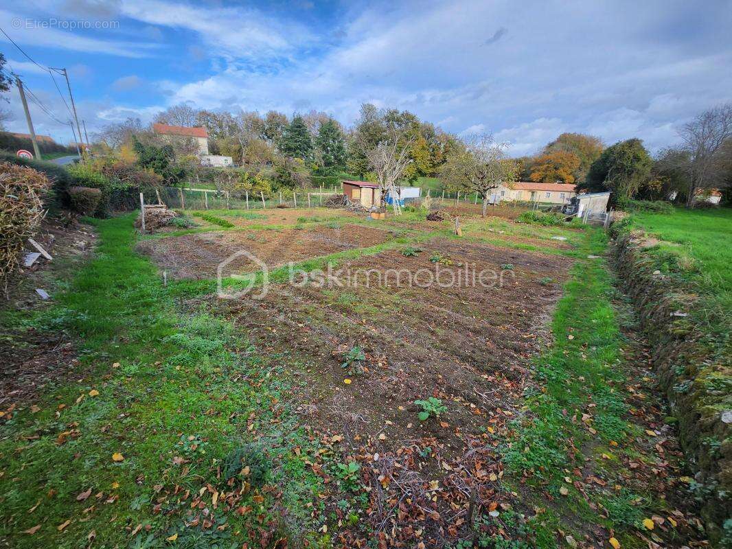 Terrain à JAZENEUIL