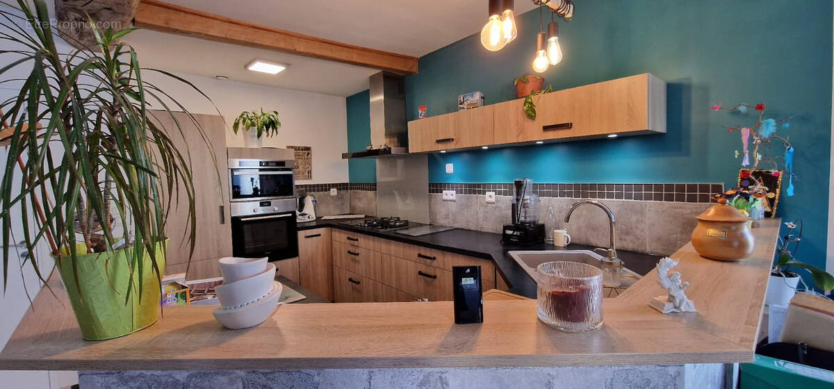 Maison à VILLEDIEU-LA-BLOUERE