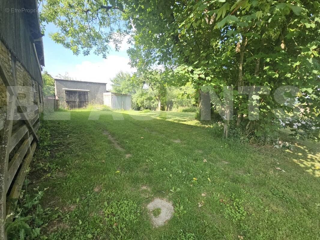 20250617_173650 - Terrain à BRIEULLES-SUR-BAR