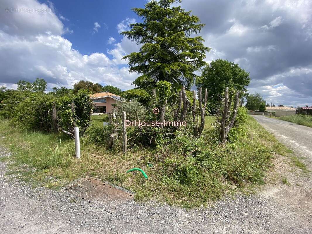 Terrain à PARENTIS-EN-BORN