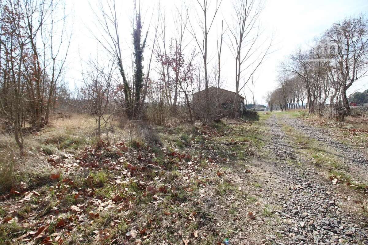 À vendre terrain de 44 000 m² en bordure de rivière - photo 4