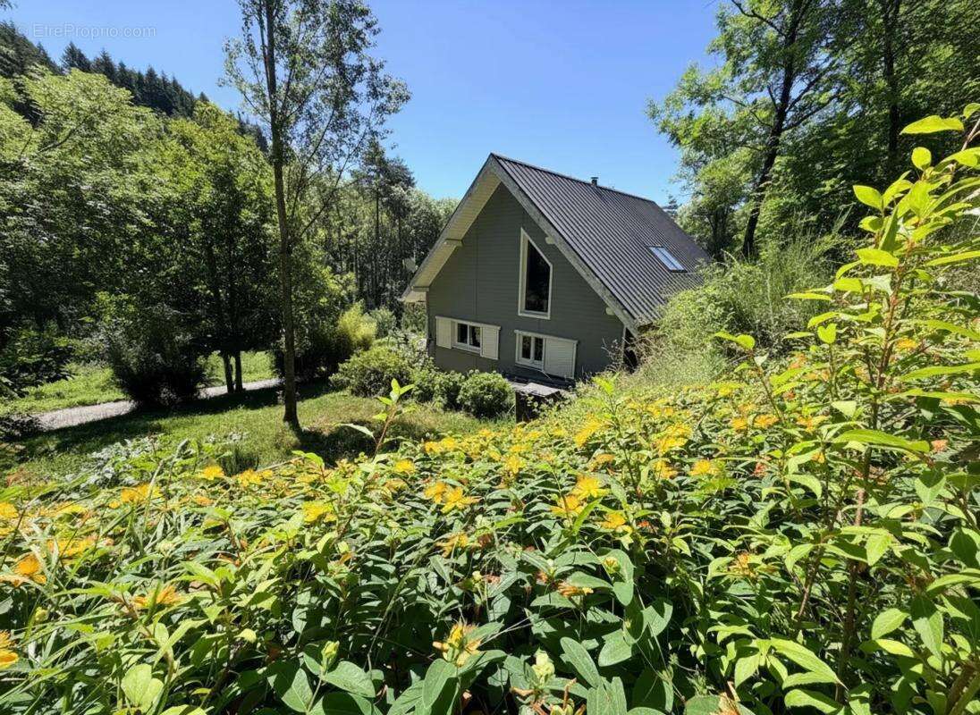 Maison avec gîte, 8 pièces, 176 m² à St-Jean-du-Bruel - photo 11