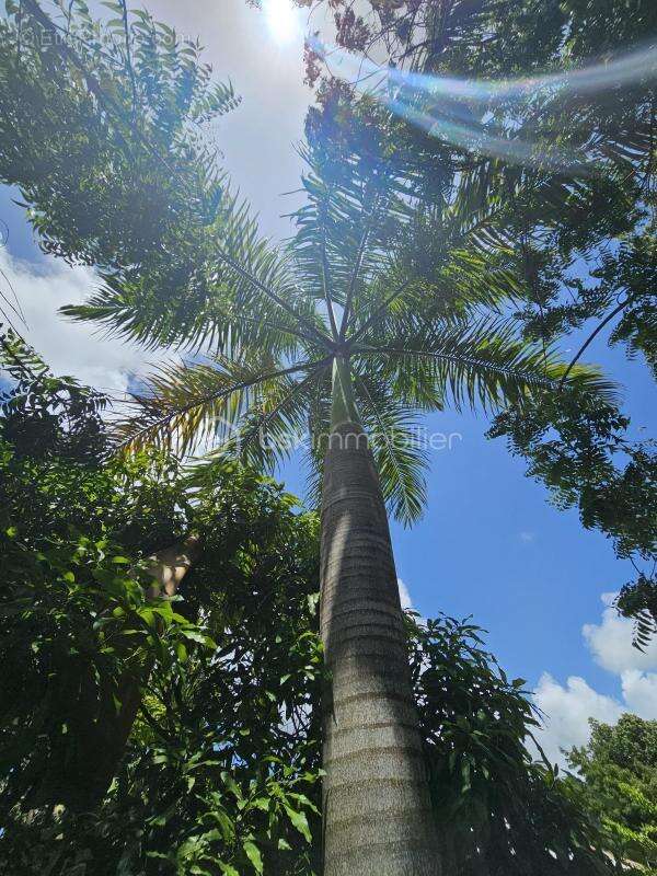 Maison à SAINT-FRANCOIS