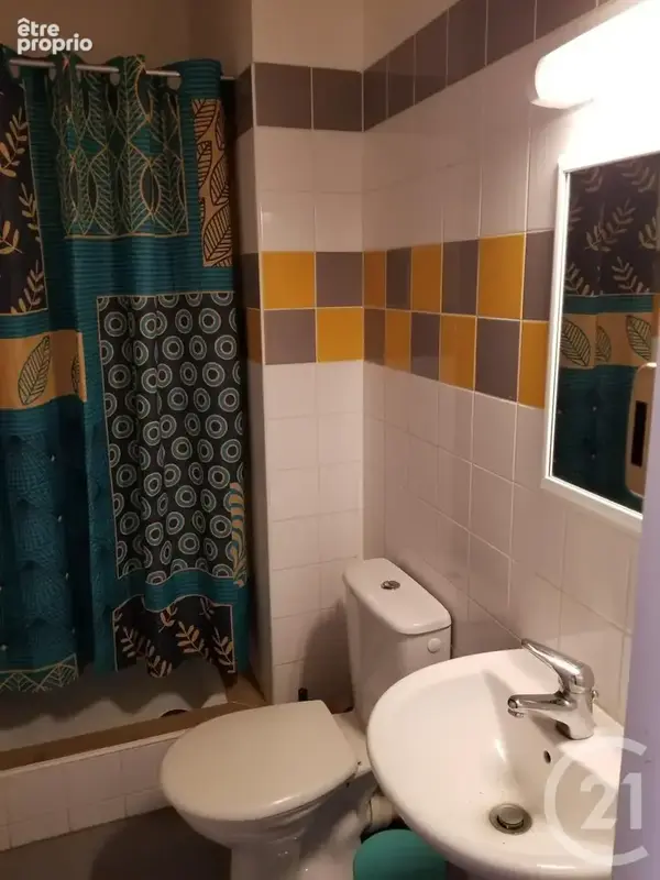 Maison 6 pièces 145 m² à vendre à Brioude (43100) - photo 8