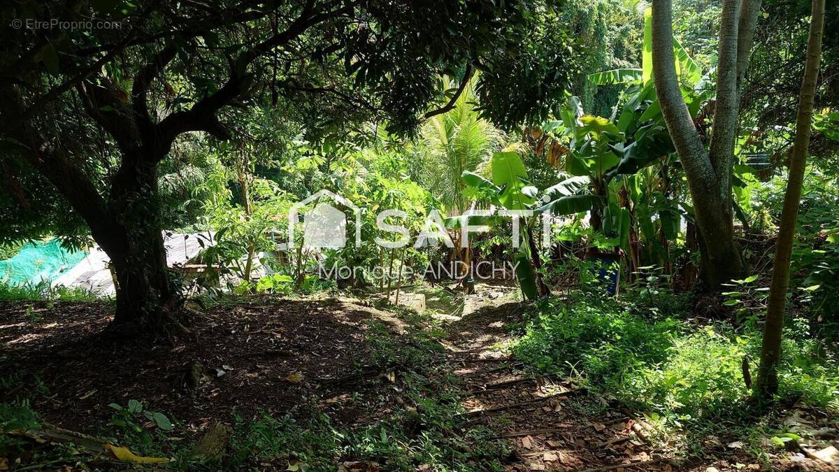 Photo 1 - Terrain à FORT-DE-FRANCE