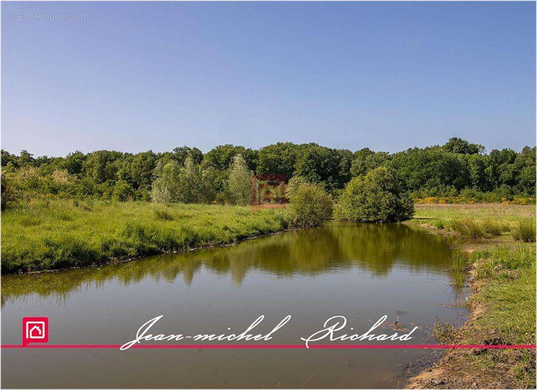 Terrain de loisirs Le Controis En Sologne 63 m2 - photo 3
