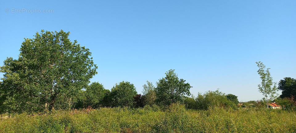 Terrain à MONTPON-MENESTEROL