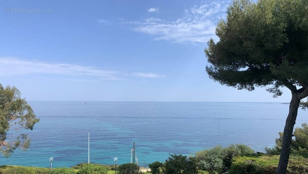 Maison à CANNES