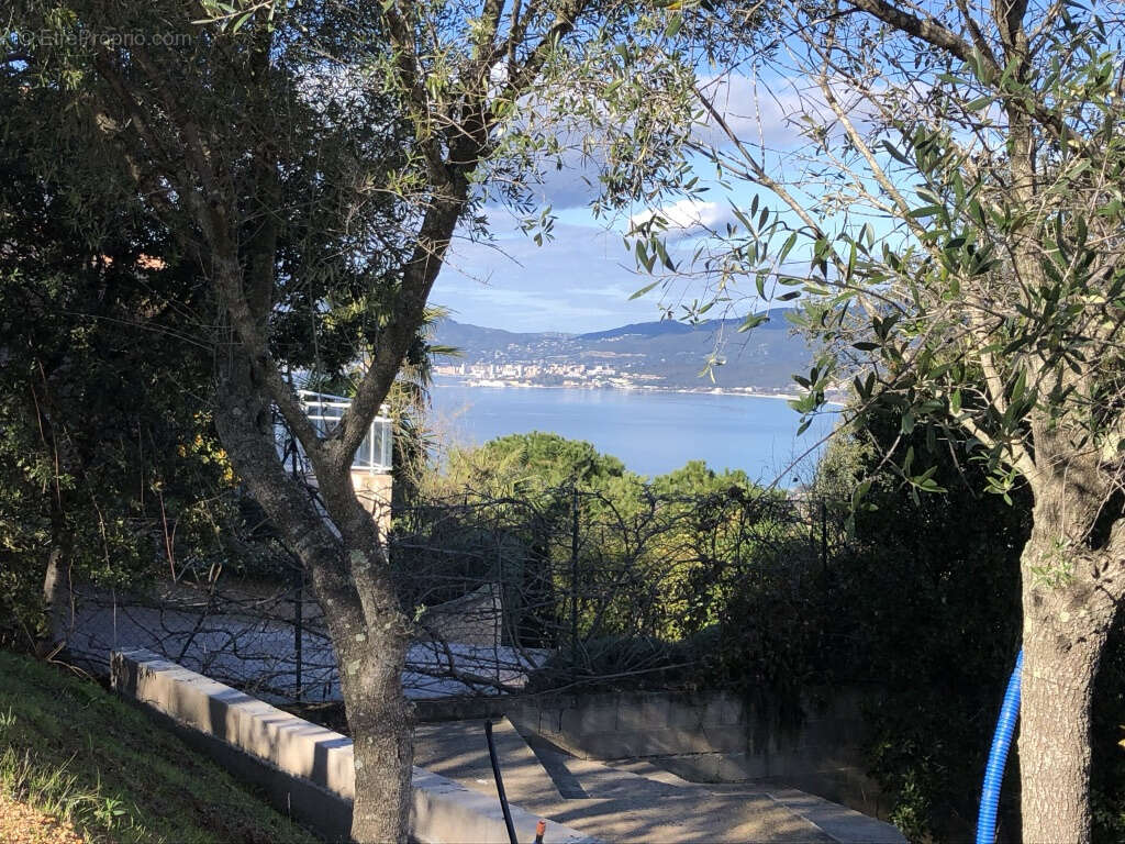 Maison à PIETROSELLA