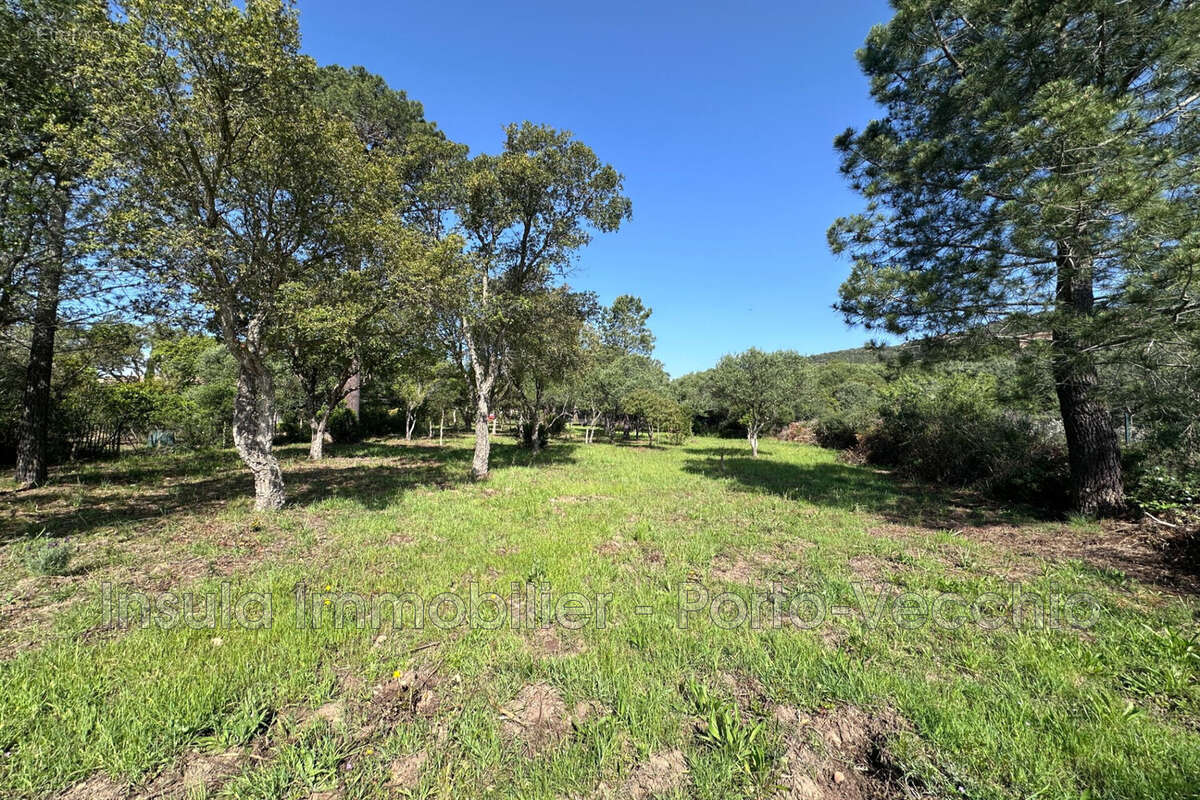Terrain à PORTO-VECCHIO