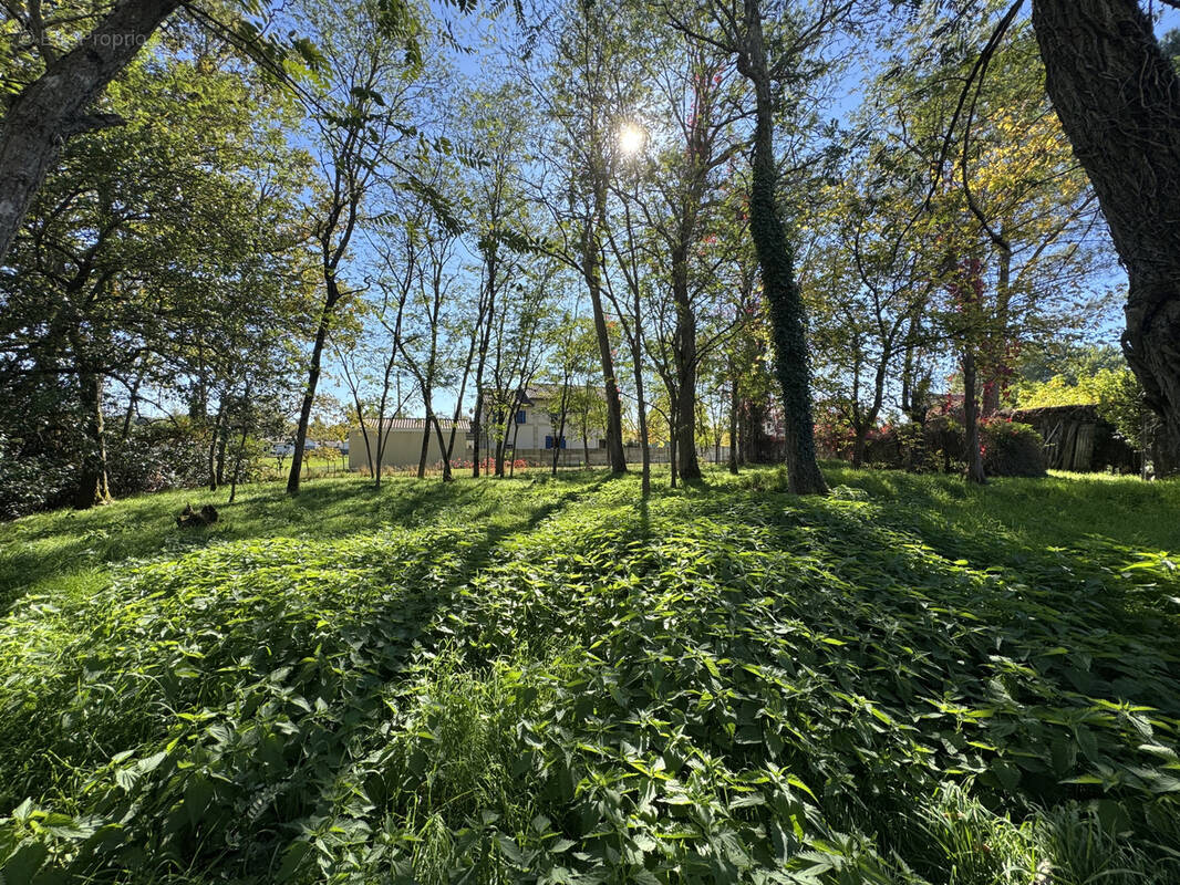 Terrain à SAINT-YZAN-DE-SOUDIAC