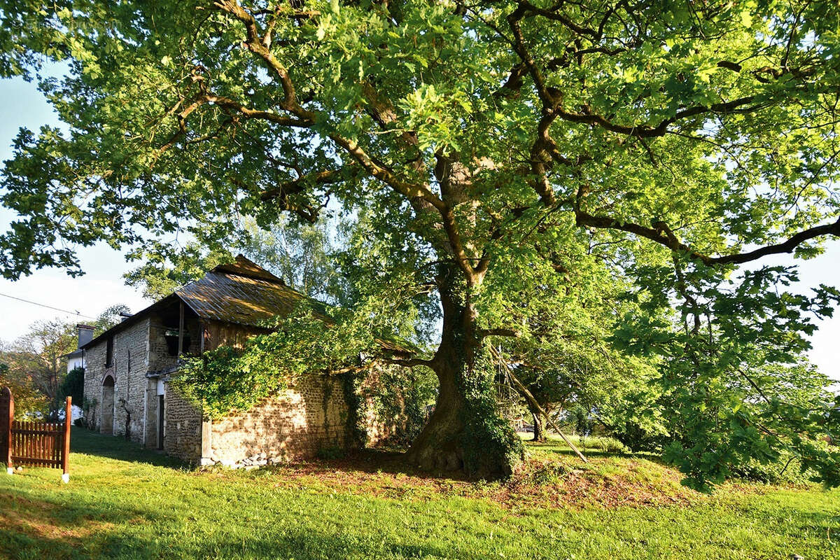 Maison à LACOMMANDE