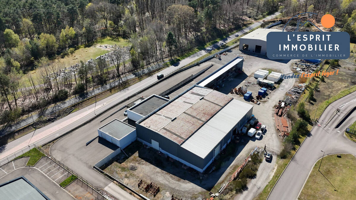 Commerce à SAINT-AVOLD