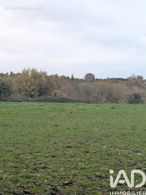 Photo 1 - Terrain à SAINT-CAPRAIS-DE-BORDEAUX