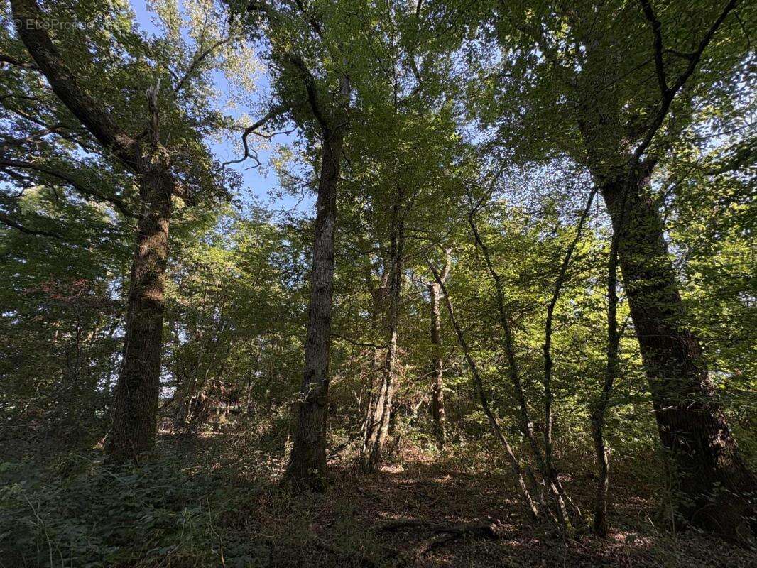 Terrain à CHATEAUROUX