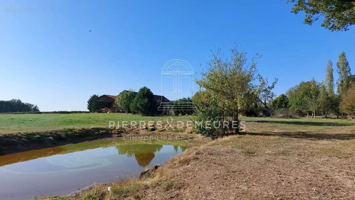 Maison à MONTIPOURET