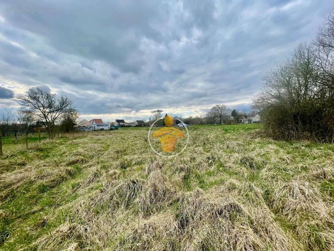 Terrain à TRAVECY