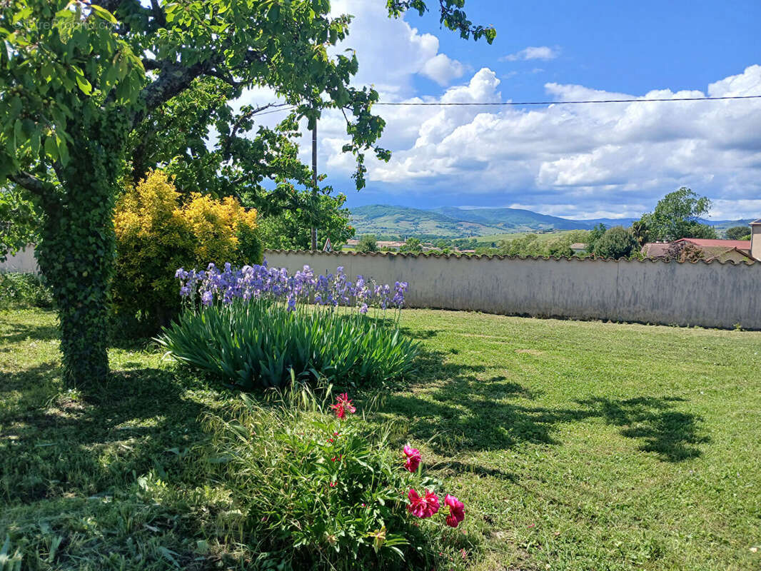Maison à BELLEVILLE
