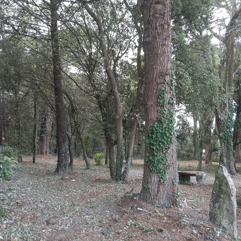 Terrain à L&#039;EPINE