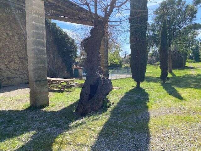 Maison à SAINT-ANDRE-DE-SANGONIS