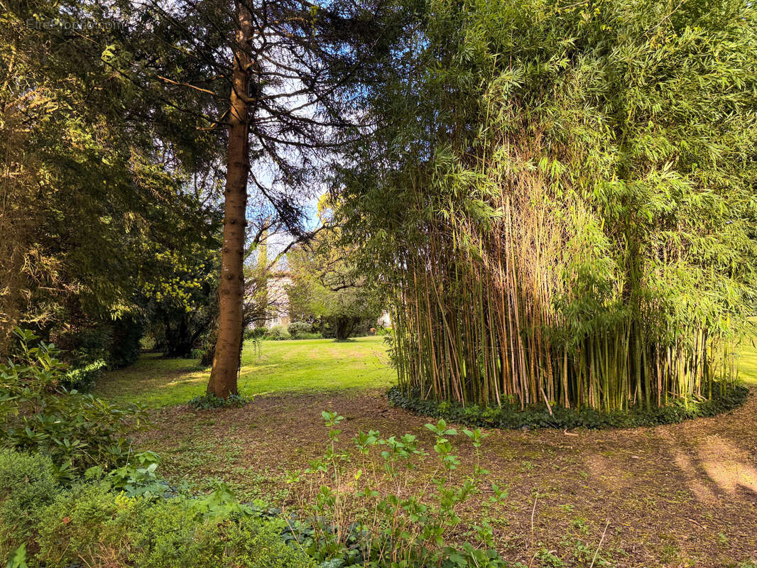 Maison à RAZAC-SUR-L'ISLE