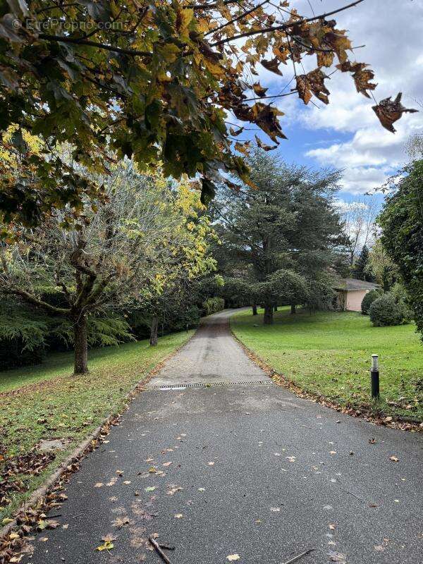 Maison à COLLONGES-AU-MONT-D&#039;OR