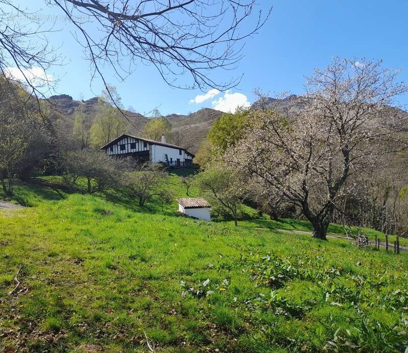 Maison à SARE