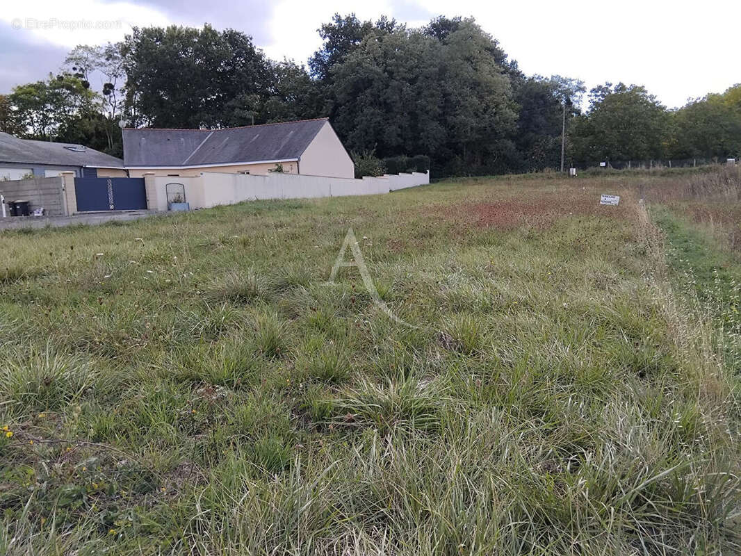 Terrain à LOURESSE-ROCHEMENIER