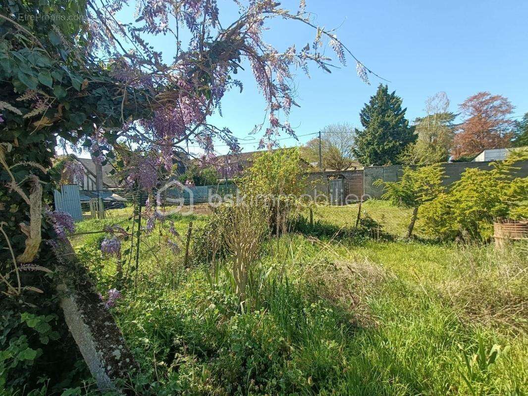 Maison à CHATEAU-RENAULT