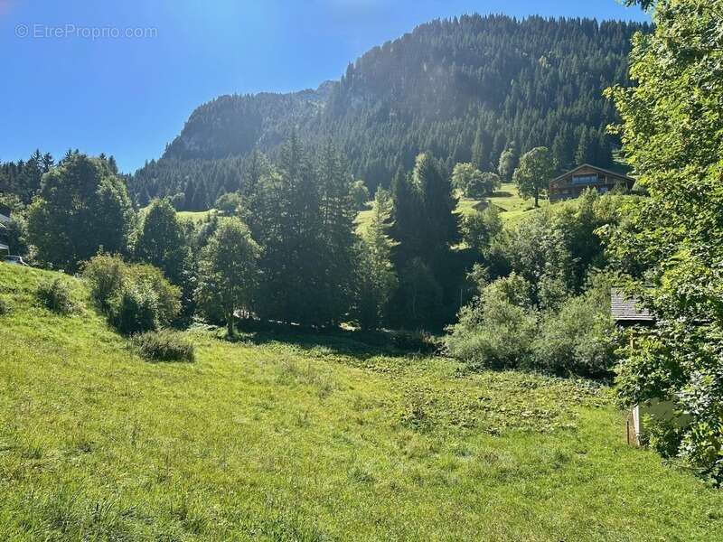 La clusaz (74) terrain constructible a vendre - 770 m2 - photo 2