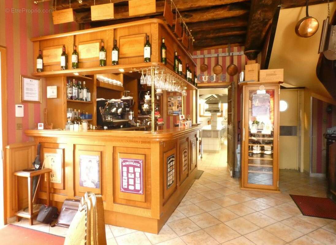 Commerce à VIENNE-EN-VAL