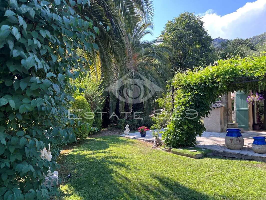 Grasse - calme absolu - photo 3