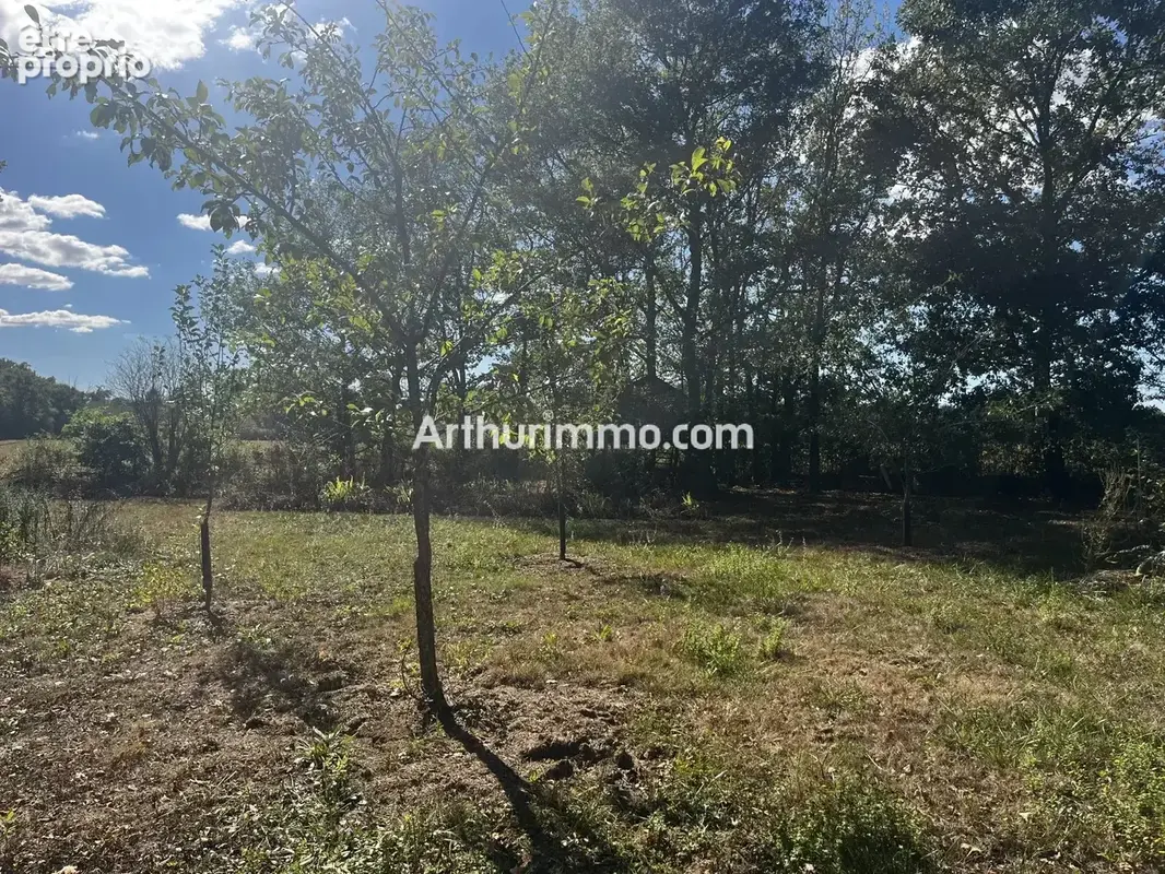 Ferme bressane à colombages – 201 m² – 8 pièces – terrain 2780m² - photo 26