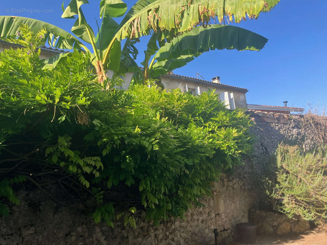 Maison en pierre rénovée avec plus de 50m2 de dépendances et jardin arboré au centre de la commune - photo 9
