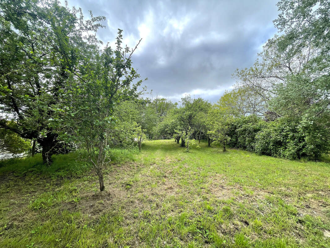 Maison à NORT-SUR-ERDRE