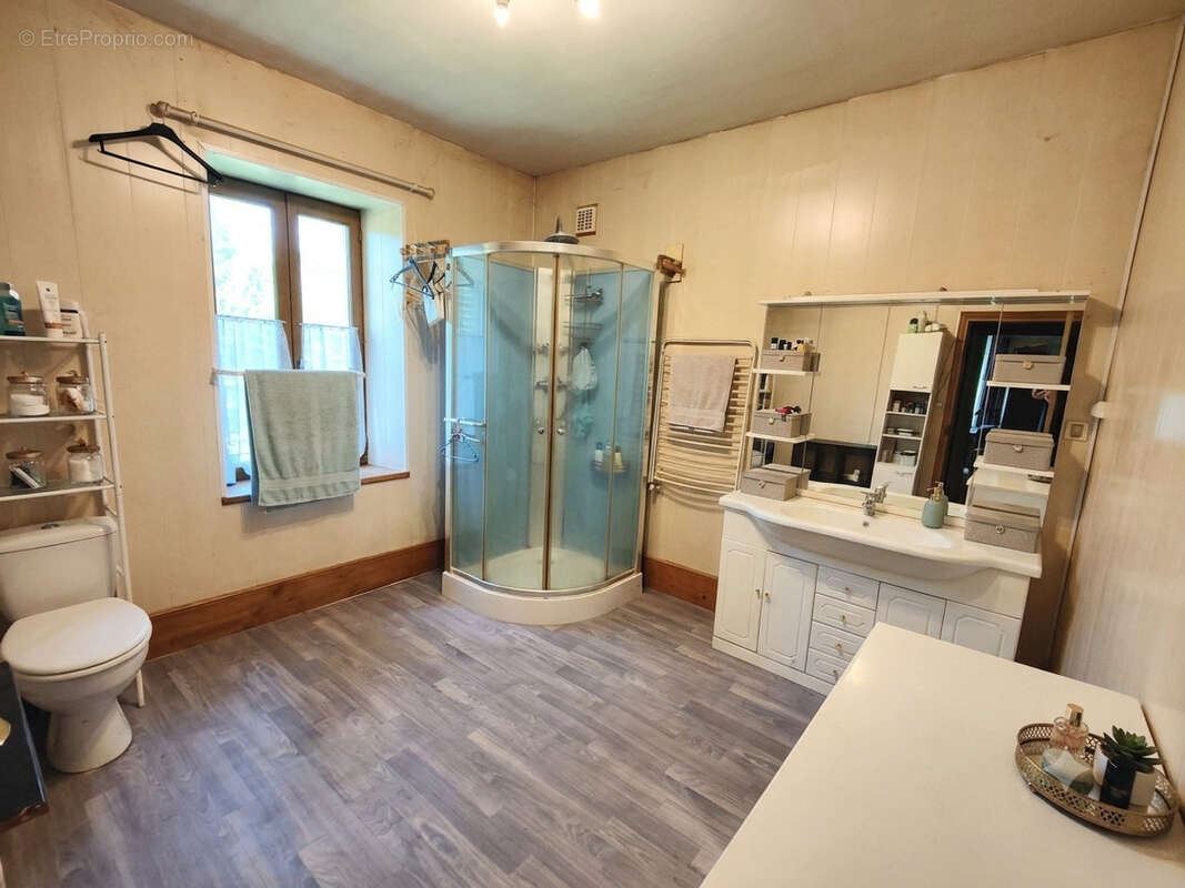 Maison Laval sur Doulon - photo 8