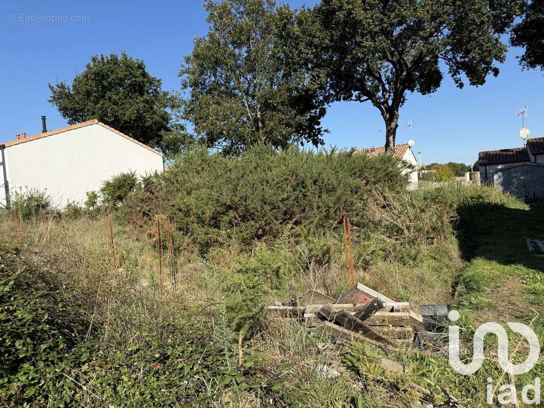 Photo 2 - Terrain à SAINTE-FOY