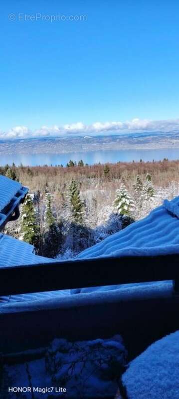 Photo 3 - Appartement à THOLLON-LES-MEMISES