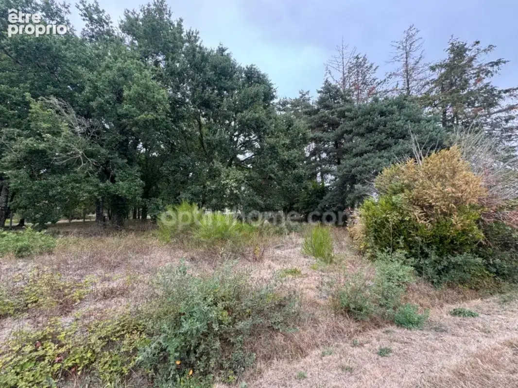 Maison familiale au calme de 96 m2 à MAILHAC SUR BENAIZE (87) - photo 16