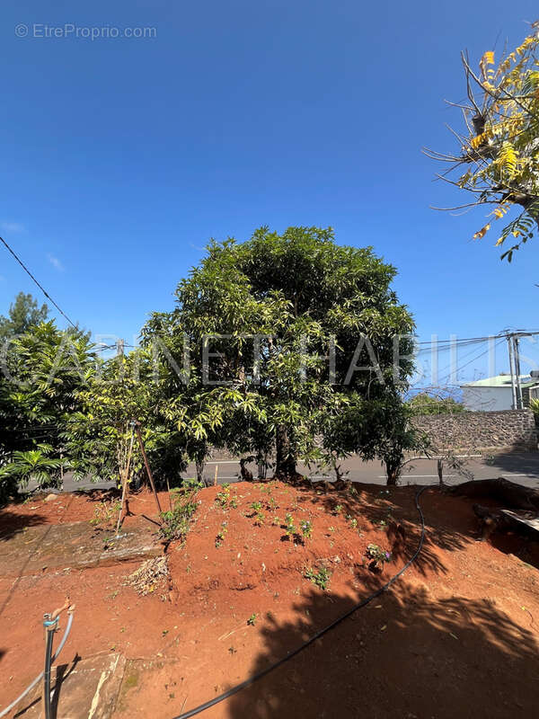 A vendre - un terrain d'environ 360 m2 - les avirons - 143 000 € - photo 3