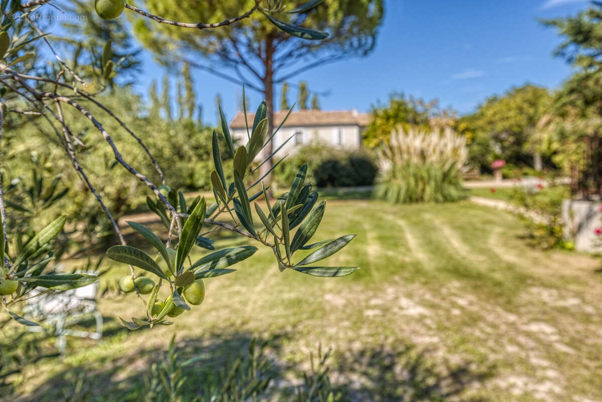 Maison à ORANGE