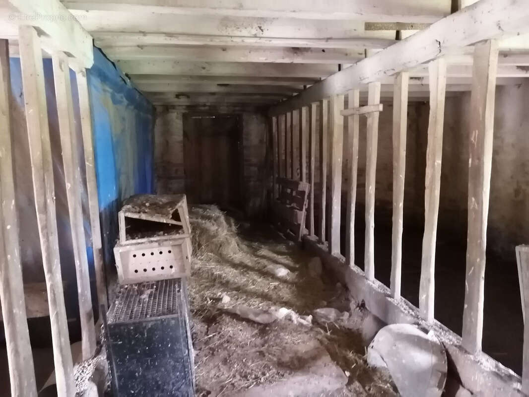 Maison à CHASSIGNOLLES