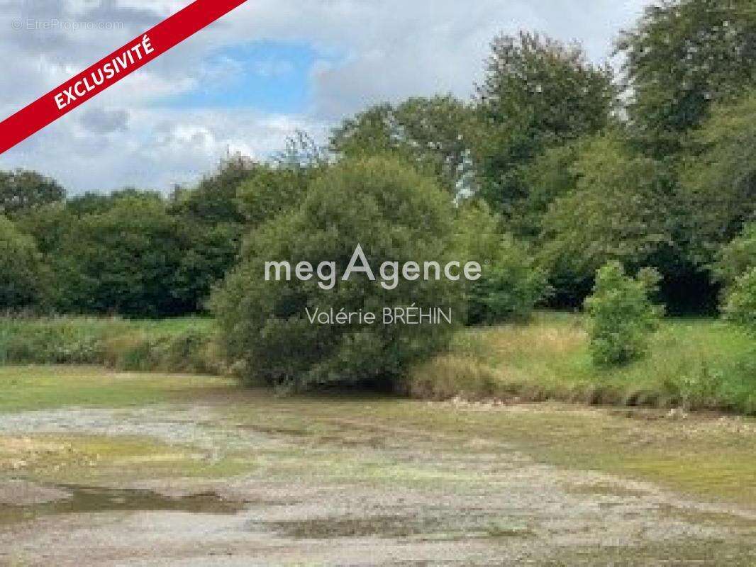 Terrain à CHAMPGENETEUX