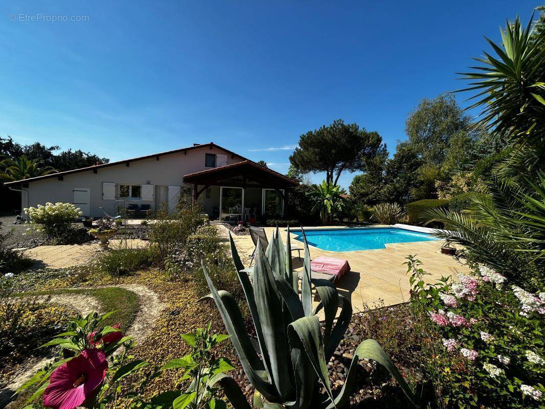Maison à AIRE-SUR-L'ADOUR