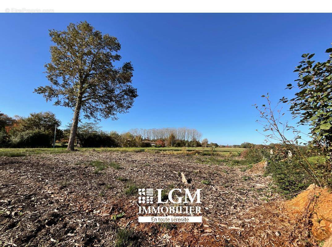 Terrain à SAINT-ETIENNE-D'ORTHE