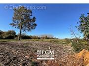 Terrain à SAINT-ETIENNE-D'ORTHE