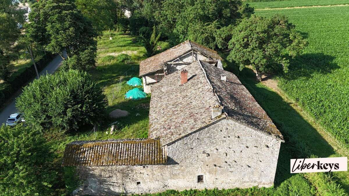 Bord de saône - demeure en pierre - 155 m² habitable - caves - dépendances - 2 puits - 4702 m² zone verte - photo 2