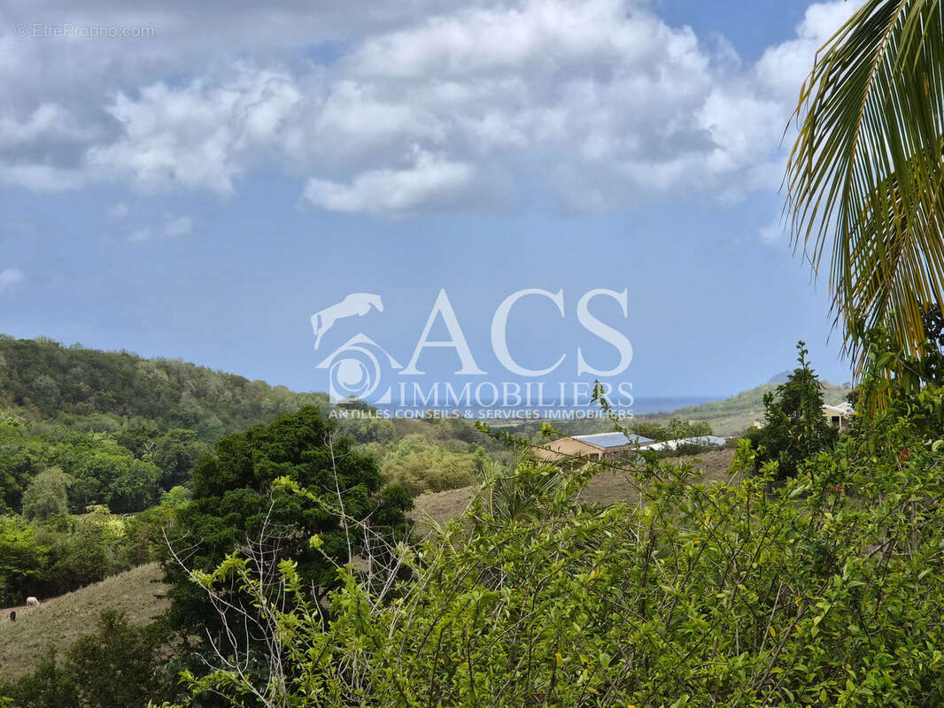 Villa de charme F4 + studio avec vue mer et piscine - photo 2